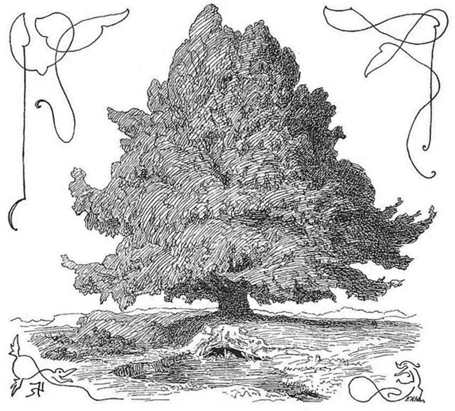 Tree of Life